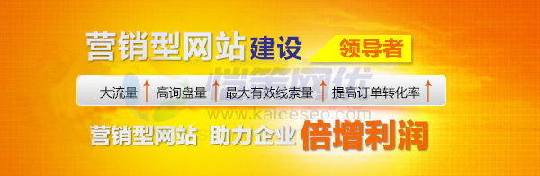 愷策網優營銷型建設領導者
