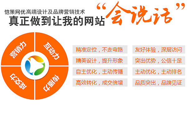 愷策網優營銷型網站建設公司正在做的讓您的網站會說話